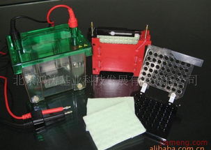 鸿涛基业化妆品加盟连锁 开启创业新篇章，火爆招商进行中